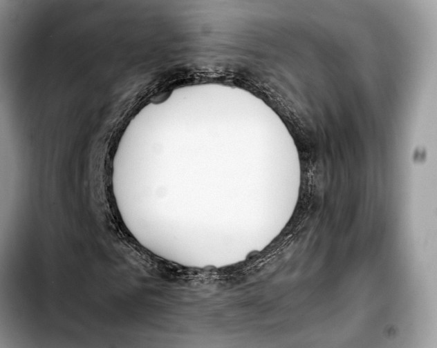 X0000103430961200810101039
