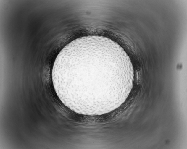X0000103430963200810101039