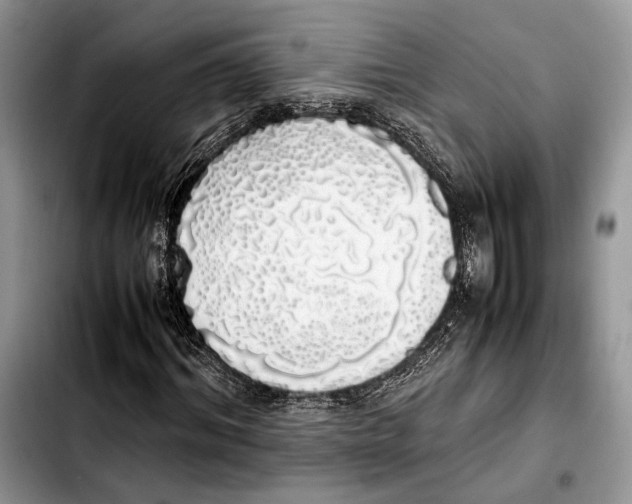 X0000103430964200810101039