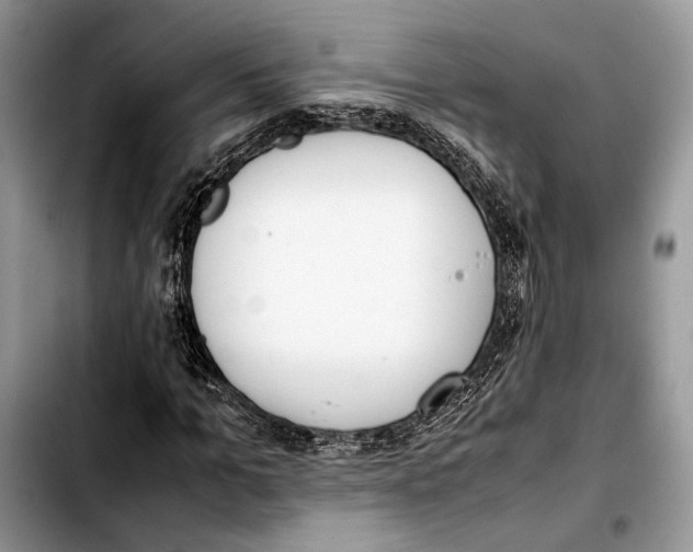 X0000103430965200810101039