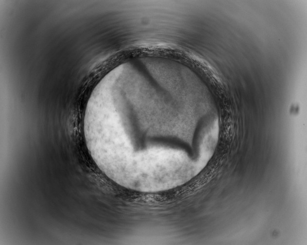 X0000103430966200810101039