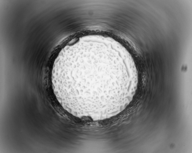 X0000103430968200810101039