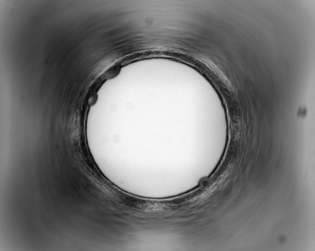 X0000103430969200810101039