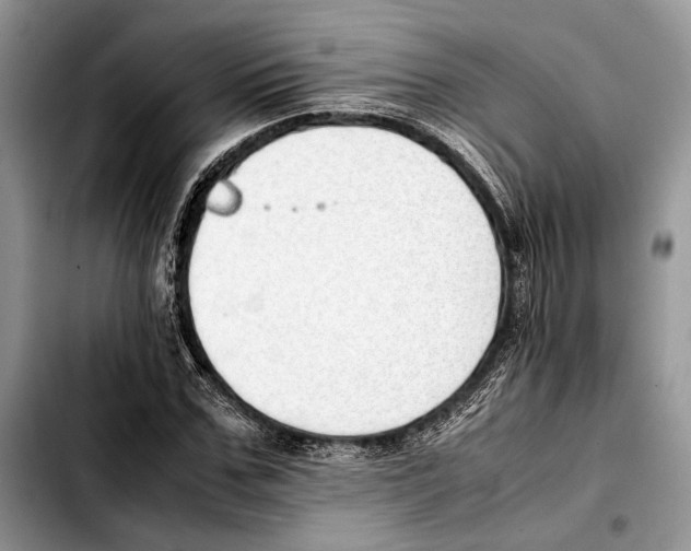 X0000103430971200810101039