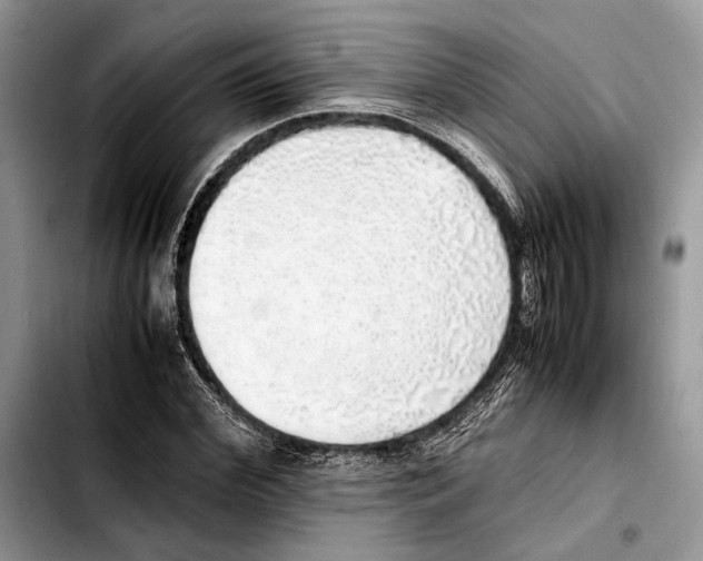 X0000103430972200810101039