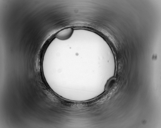 X0000103430973200810101039