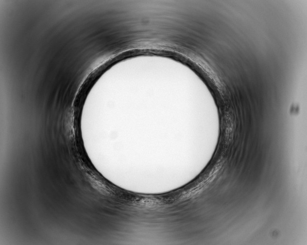 X0000103430974200810101038