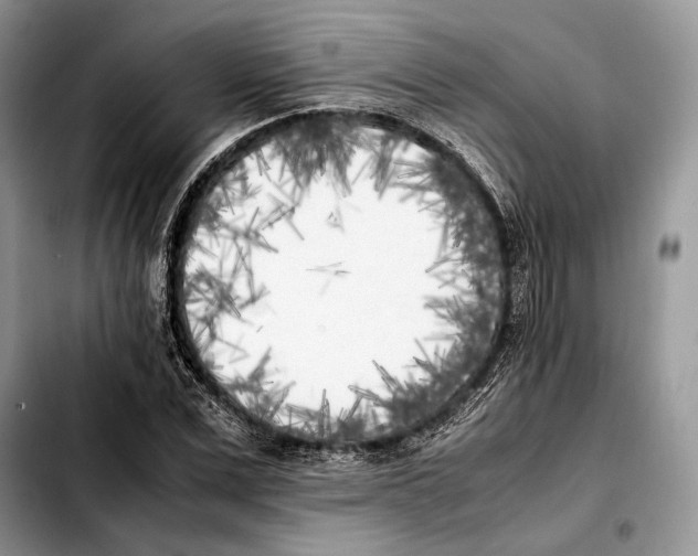 X0000103430975200810101038