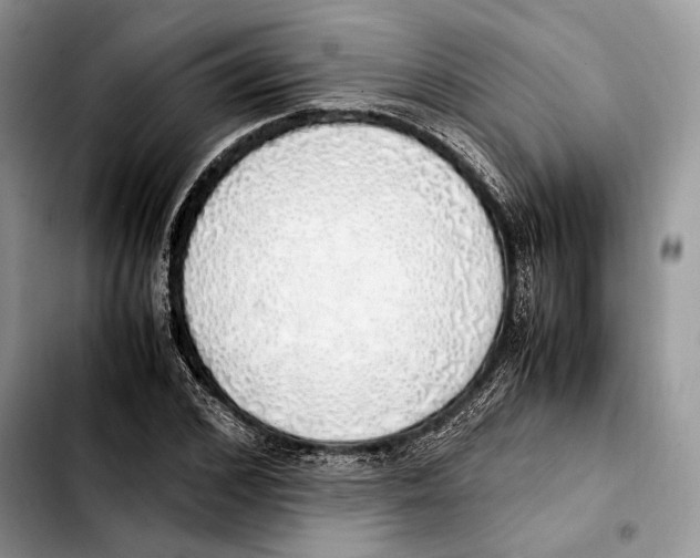X0000103430976200810101038