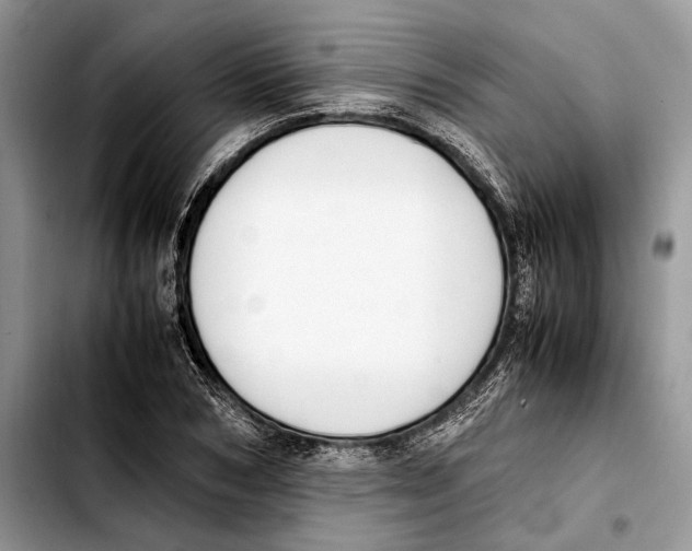 X0000103430978200810101038