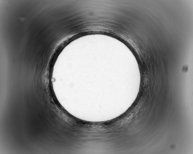 X0000103430979200810101038
