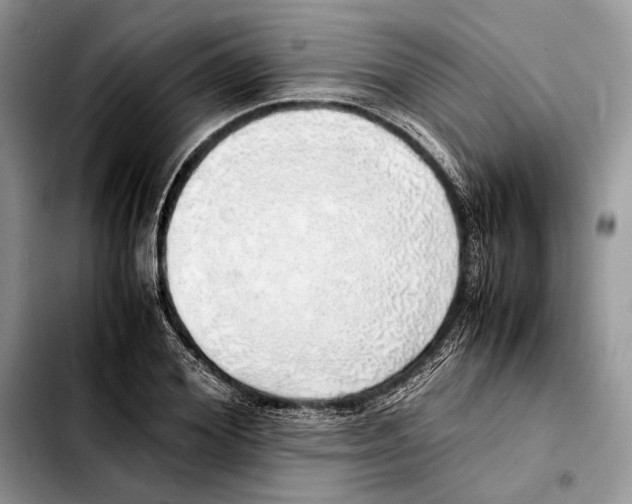 X0000103430980200810101038