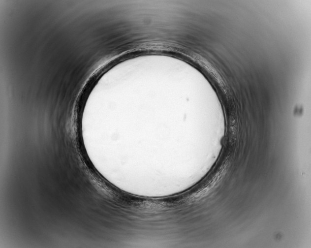 X0000103430981200810101038