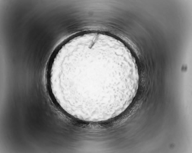 X0000103430983200810101038