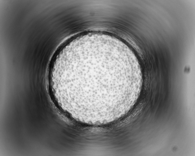 X0000103430984200810101038