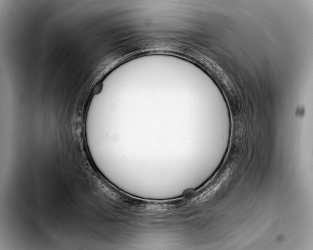 X0000103430985200810101038