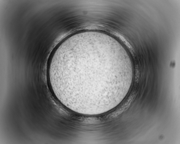 X0000103430986200810101038