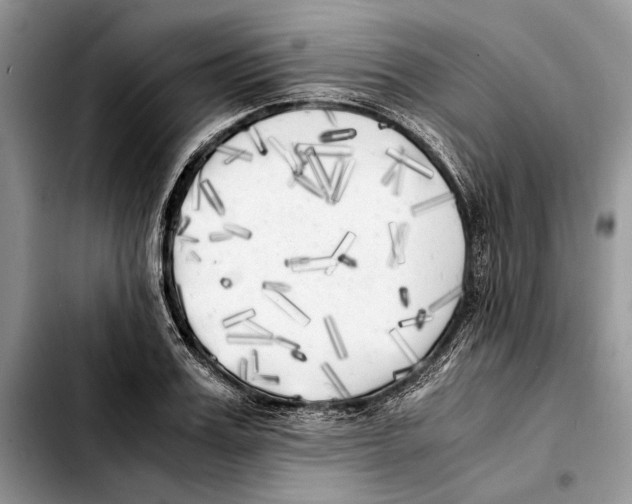 X0000103430987200810101038