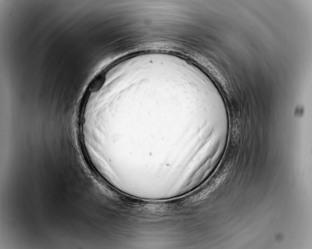 X0000103430989200810101038