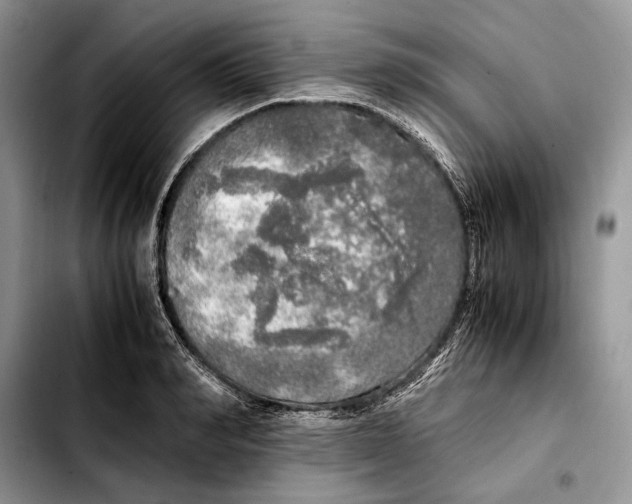 X0000103430990200810101038