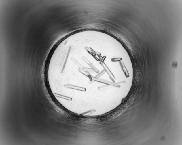 X0000103430991200810101038