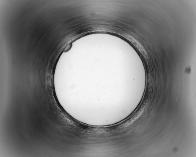 X0000103430993200810101038