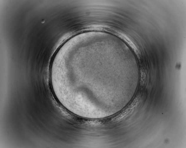 X0000103430994200810101038