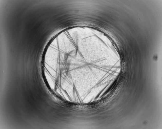 X0000103430995200810101038