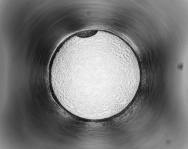 X0000103430996200810101038