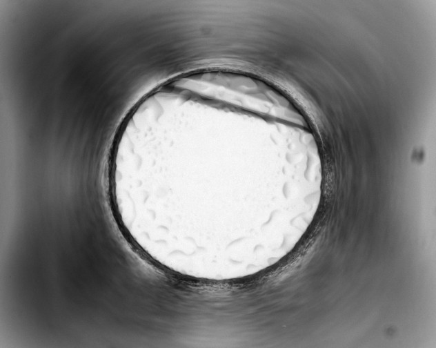 X0000103430999200810101038