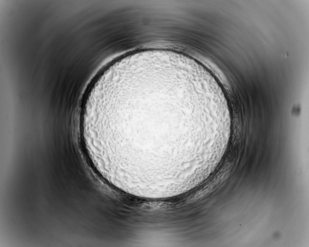 X0000103431000200810101038