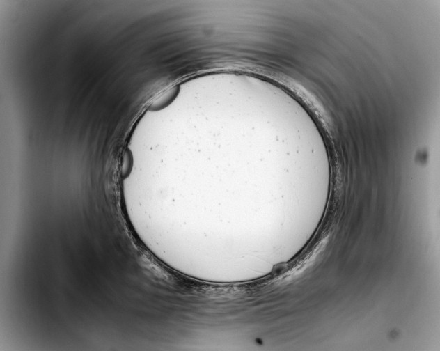 X0000103431001200810101038