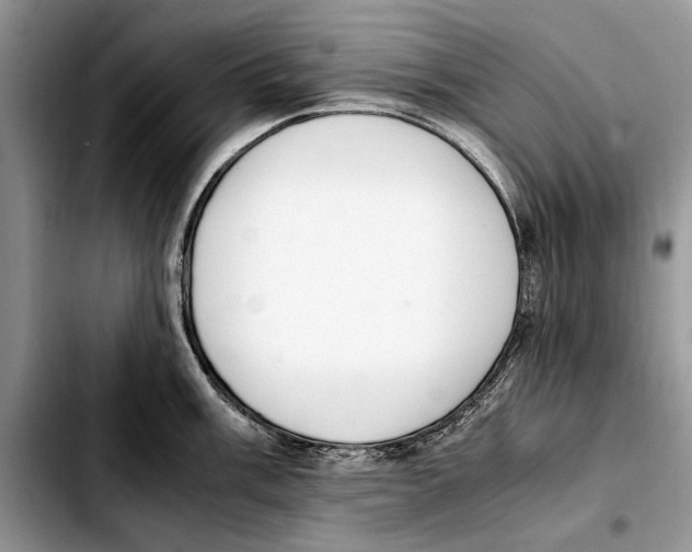 X0000103431003200810101038