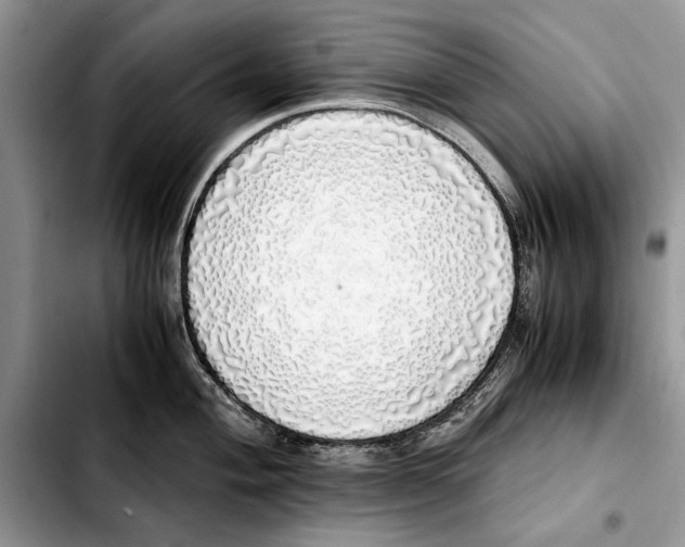 X0000103431004200810101038