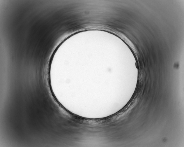 X0000103431005200810101038