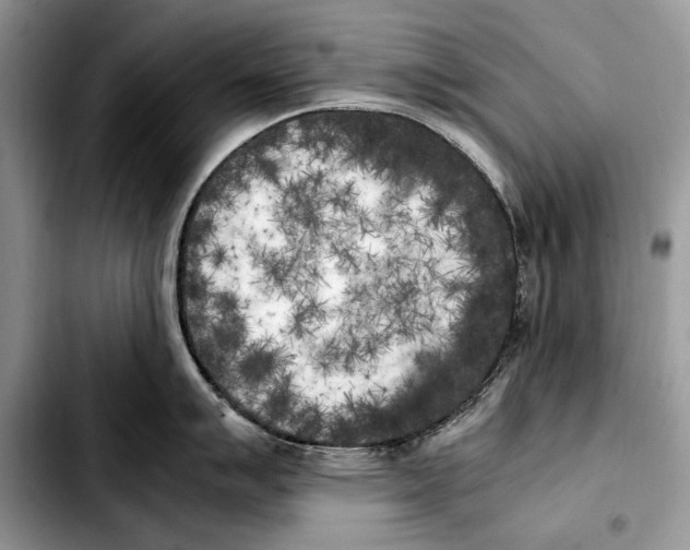 X0000103431007200810101038