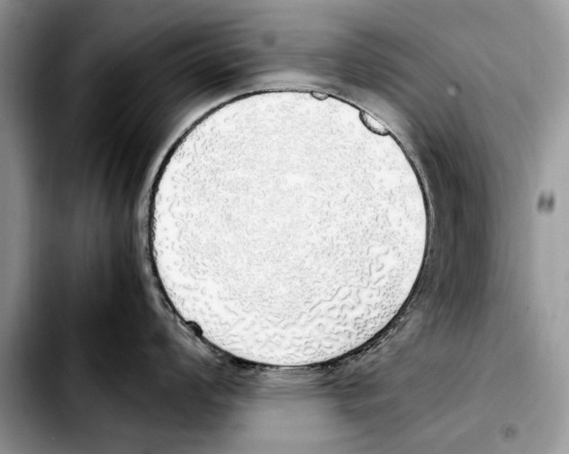 X0000103431008200810101038