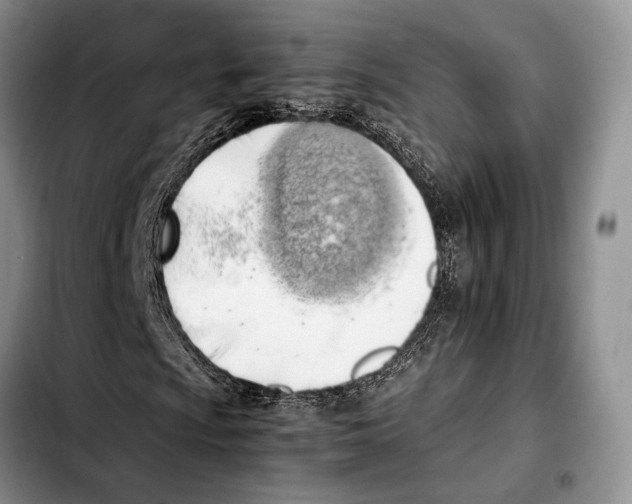 X0000103431009200810101037