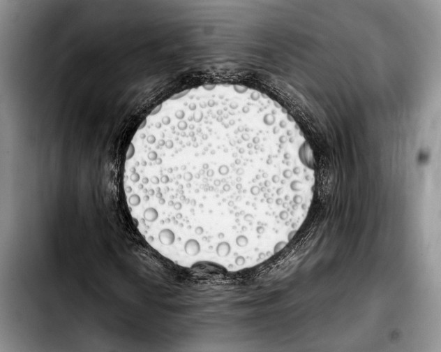 X0000103431010200810101037
