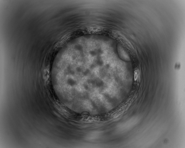 X0000103431011200810101037