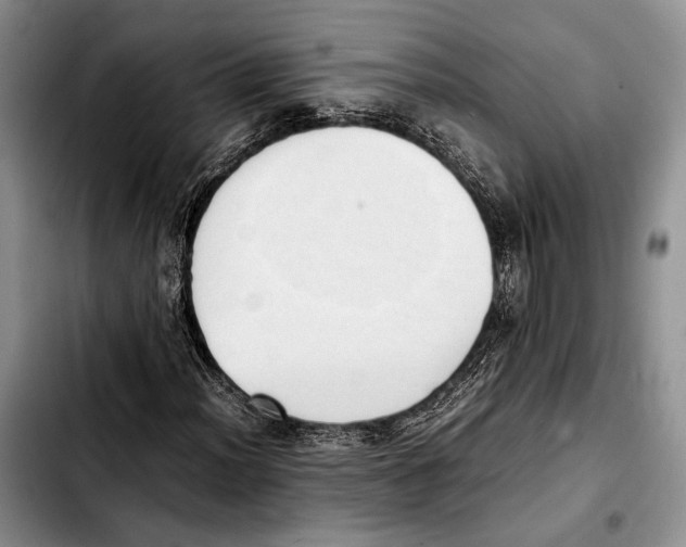 X0000103431012200810101037