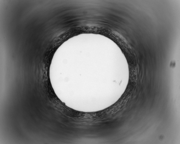X0000103431013200810101037