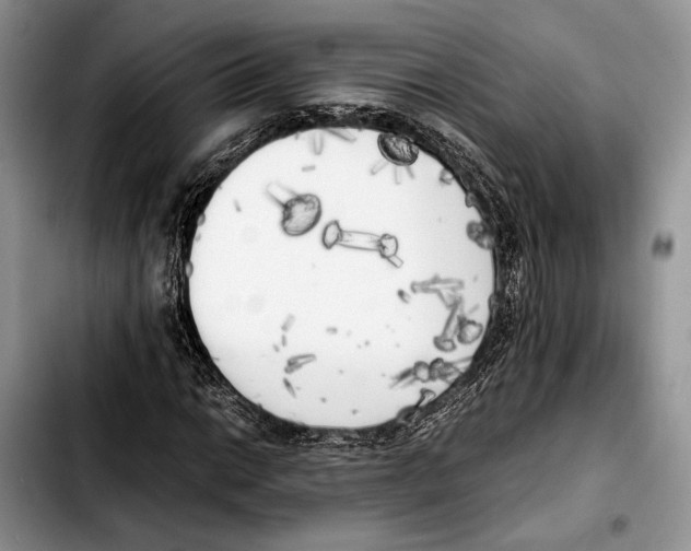 X0000103431014200810101037