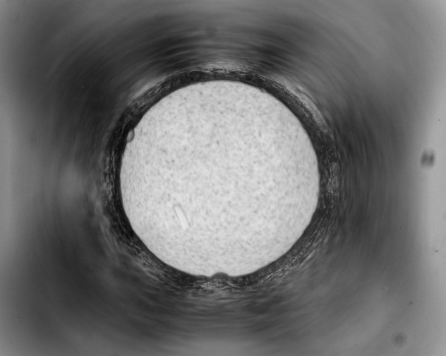 X0000103431015200810101037