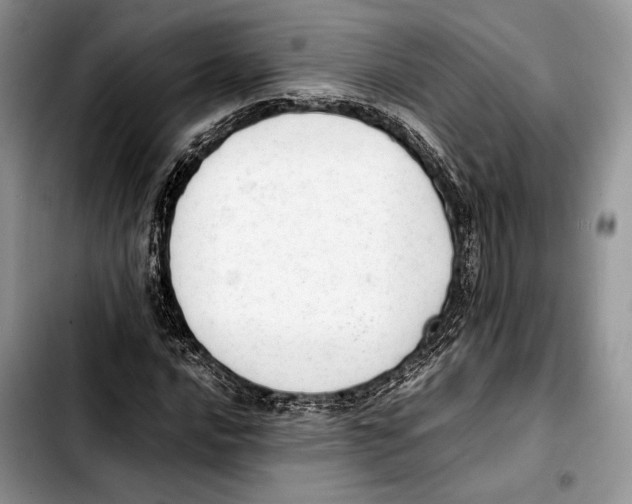 X0000103431016200810101037