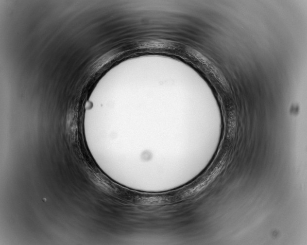 X0000103431017200810101037