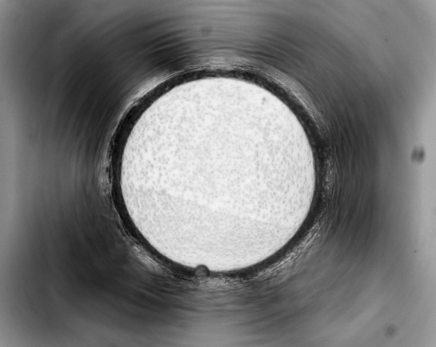 X0000103431018200810101037