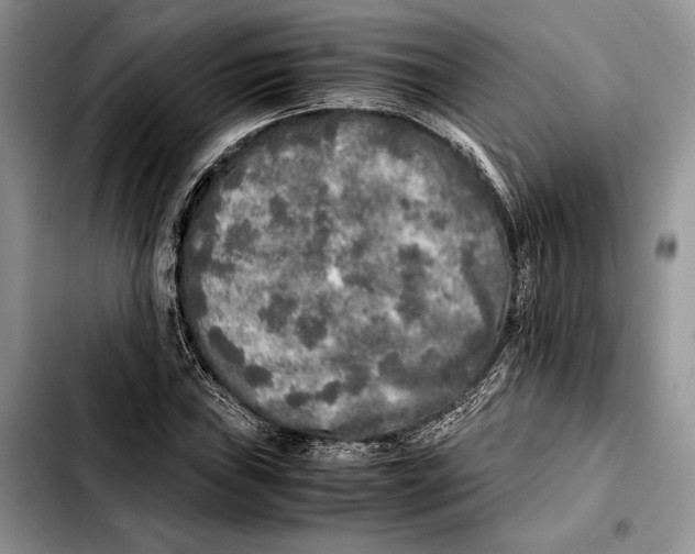X0000103431019200810101037