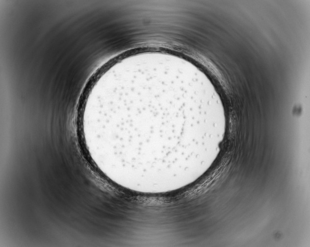 X0000103431020200810101037