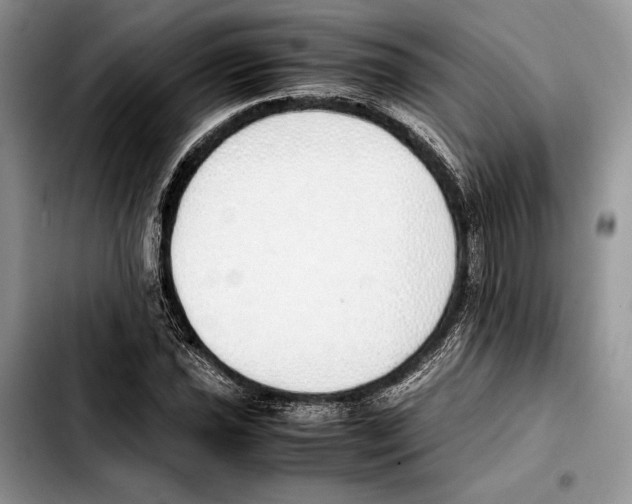 X0000103431021200810101037